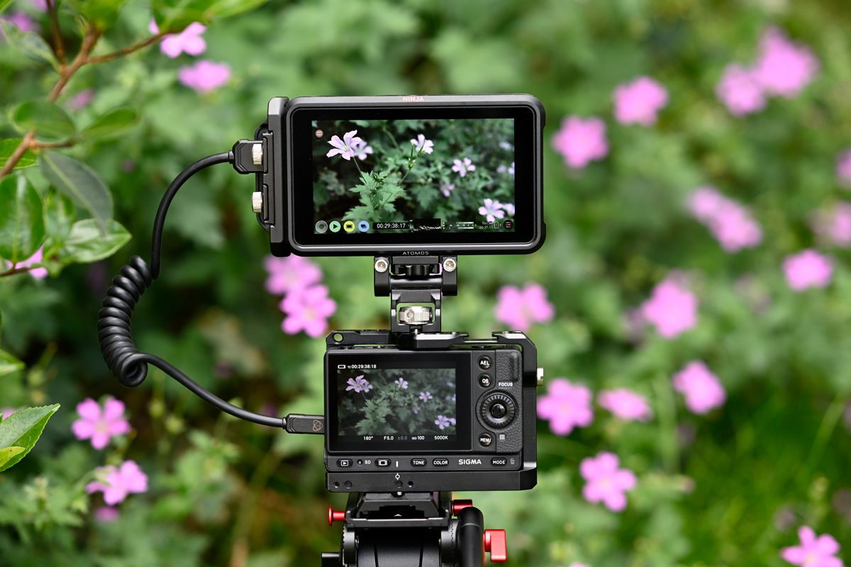 Sigma fp now capable of RAW recording over HDMI with Atomos