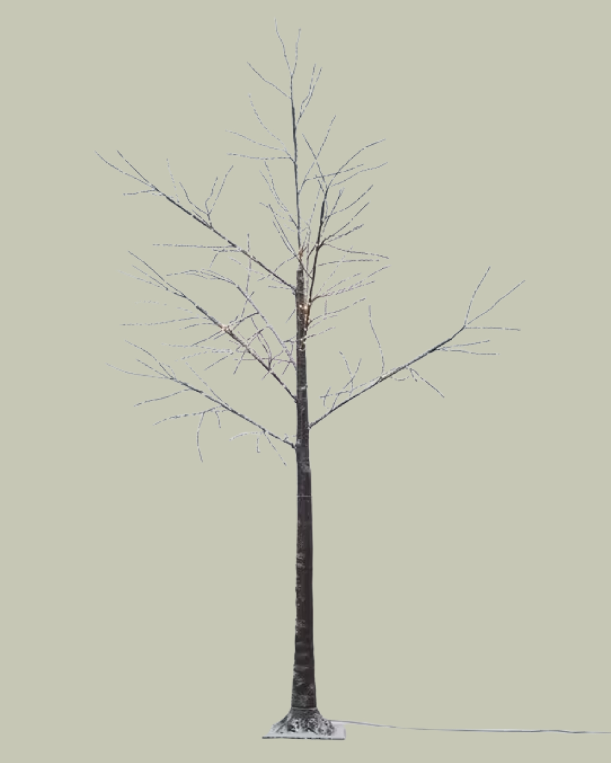 John Lewis, John Lewis Pre-Lit Birch Twig Tree, 6ft