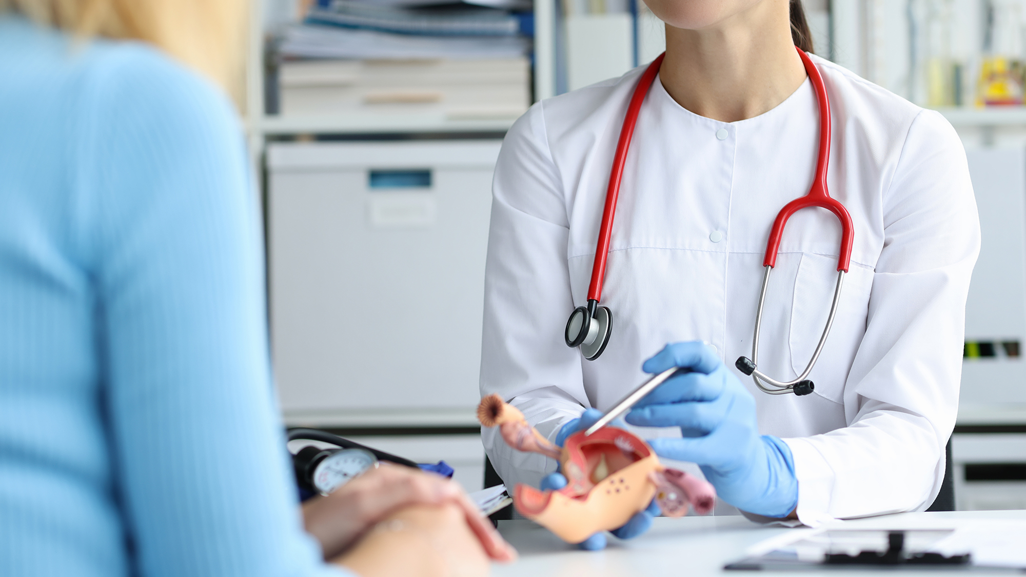 Gynecologist holds model of female reproductive system of uterus and consults patient. 