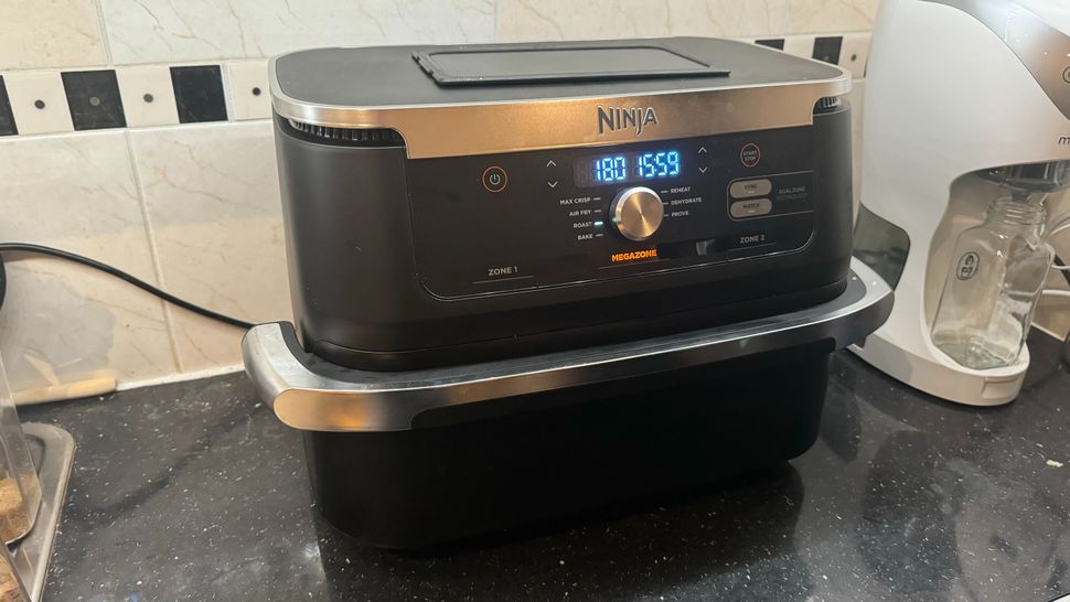 Ninja Foodi FlexBasket Dual Air Fryer review: a behemoth air fryer that