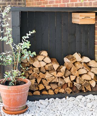 wood stack with wooden wall and plant in pot