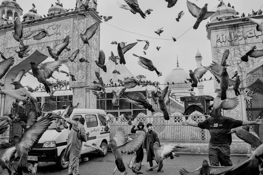 Photograph of a pigeon keepers and a flock of pigeons on a busy city street, taken by Aakash Gulzar from India.