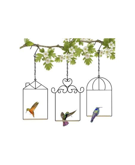 Hummingbird Perches 