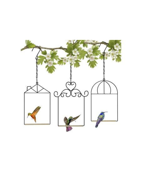 Amazon hummingbird swing Amazon hummingbird swing