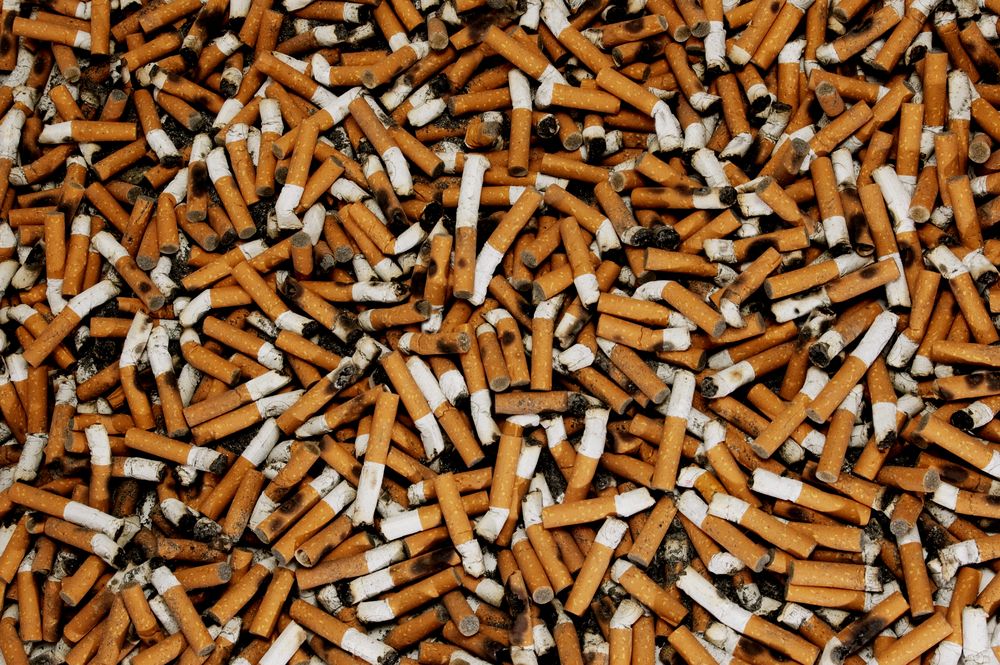 cigarette, cigarettes, cigarette butts