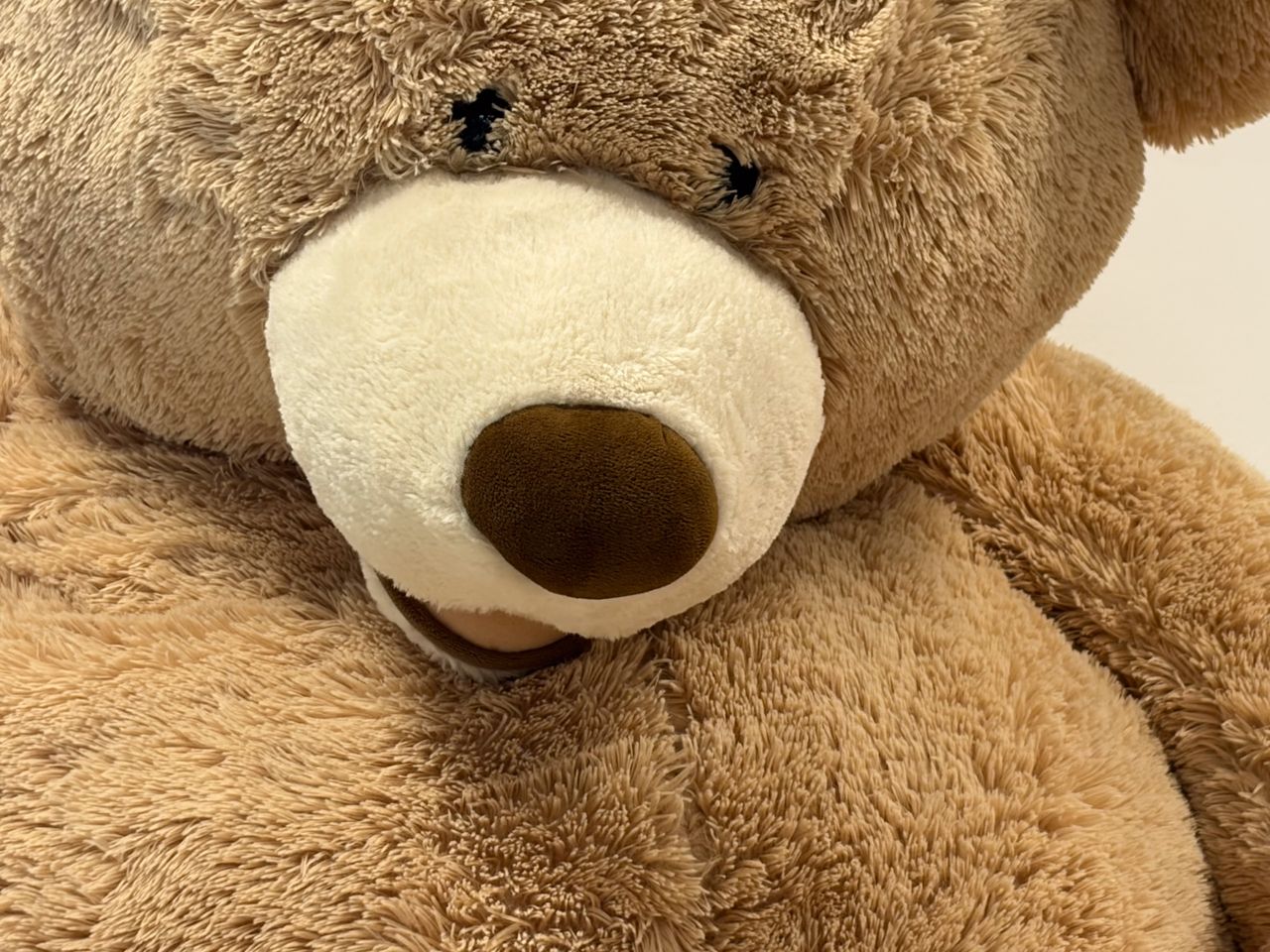 Camera sample captured on the Apple iPhone Air