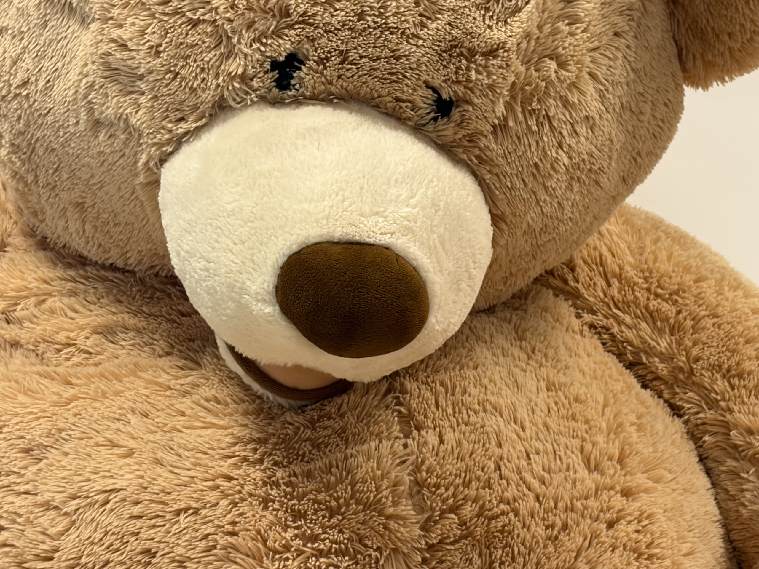 Camera sample captured on the Apple iPhone Air