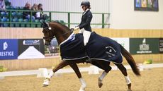 VIRGINIE DE SENNEVILLE - FIRE KRACKA