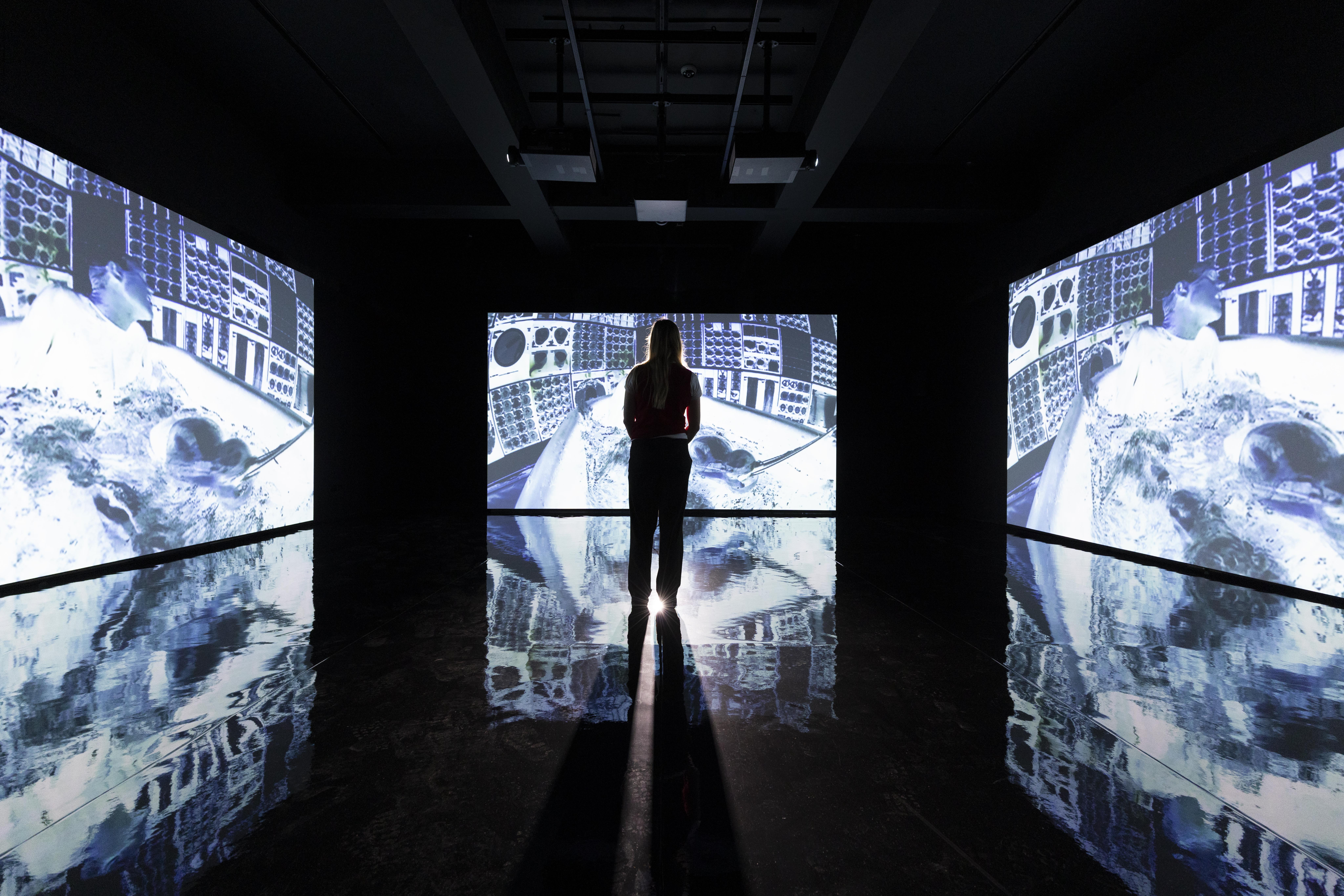 Model with chrysalis (2003) Olivier Me&amp;#775;gaton. Part of of Wayne McGregor Infinite Bodies exhibition at Somerset House.