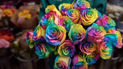 morrisons rainbow roses