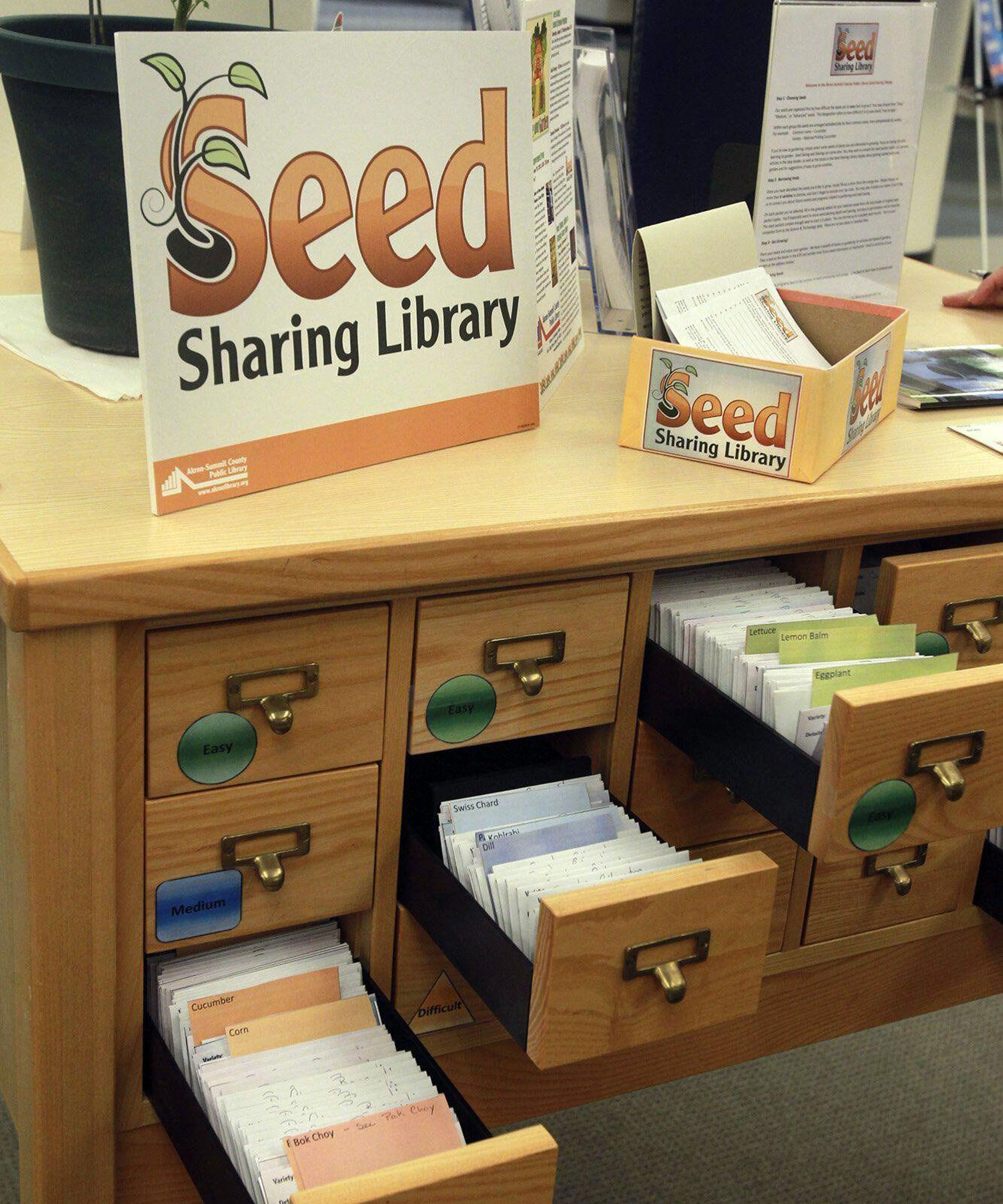 How to get free seeds 7 budgetsaving solutions Gardeningetc