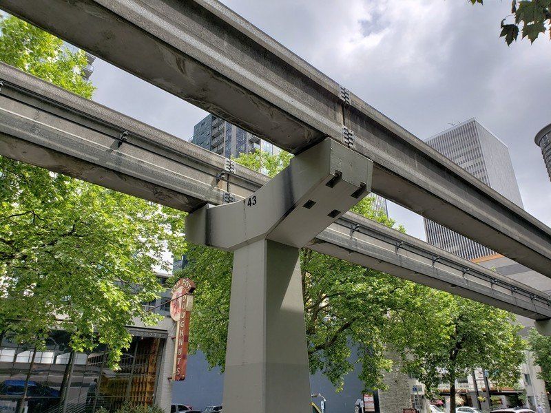 Galaxy S9+ daylight camera sample