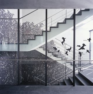 Awe-inspiring wall graphics run up several storeys in the Kreissparkasse Tübingen stairwells