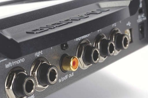 The Black Box has a variety of audio outputs, plus footswitch and expression pedal jacks