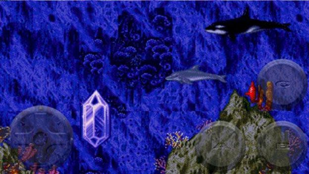Ecco the Dolphin