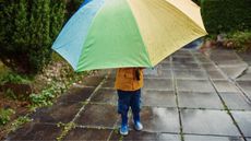 A child holds a very large umbrella in the rain.