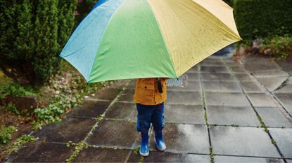 A child holds a very large umbrella in the rain.