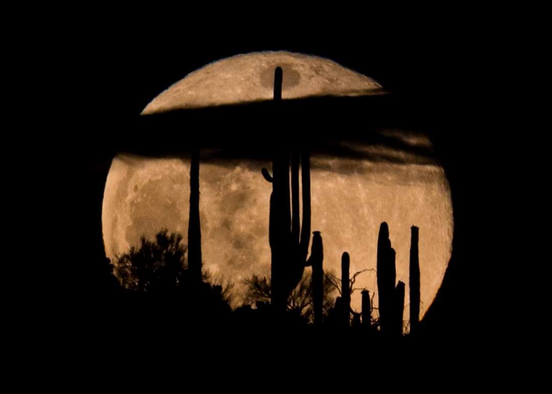 Astrophotographer Niccole Neely captured the 2020 Flower Moon from Gates Pass, Saguaro National Park in Arizona.