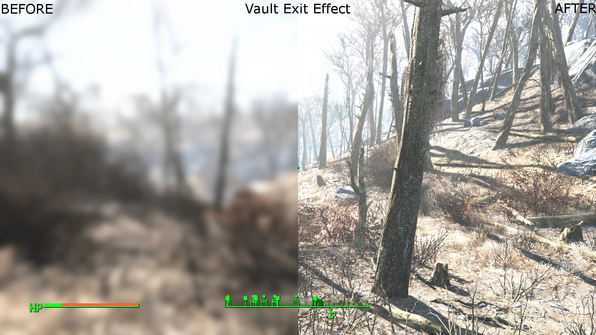 Fallout 4 BlurKiller use-case screenshot.