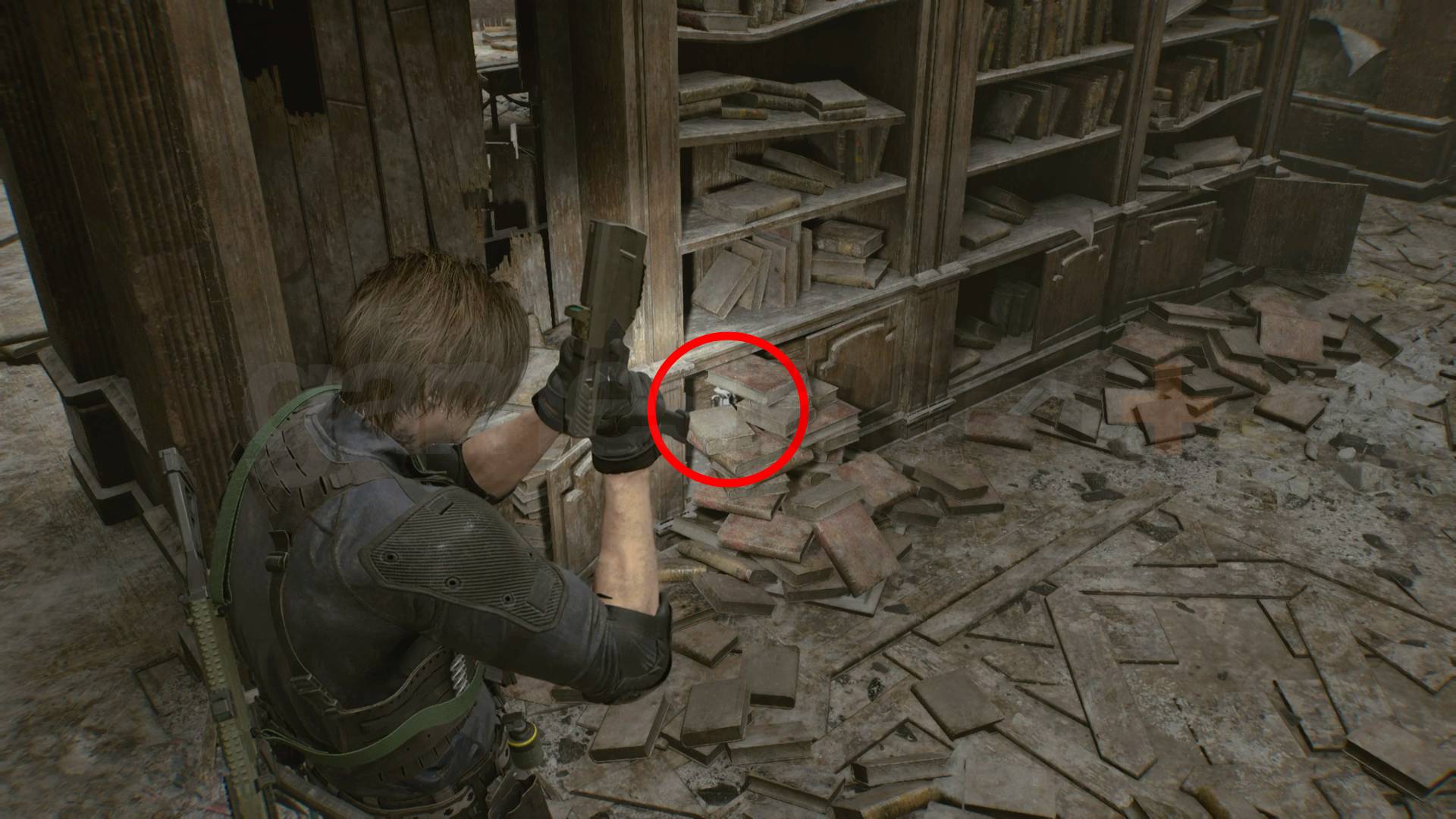 Resident Evil Requiem Racoons