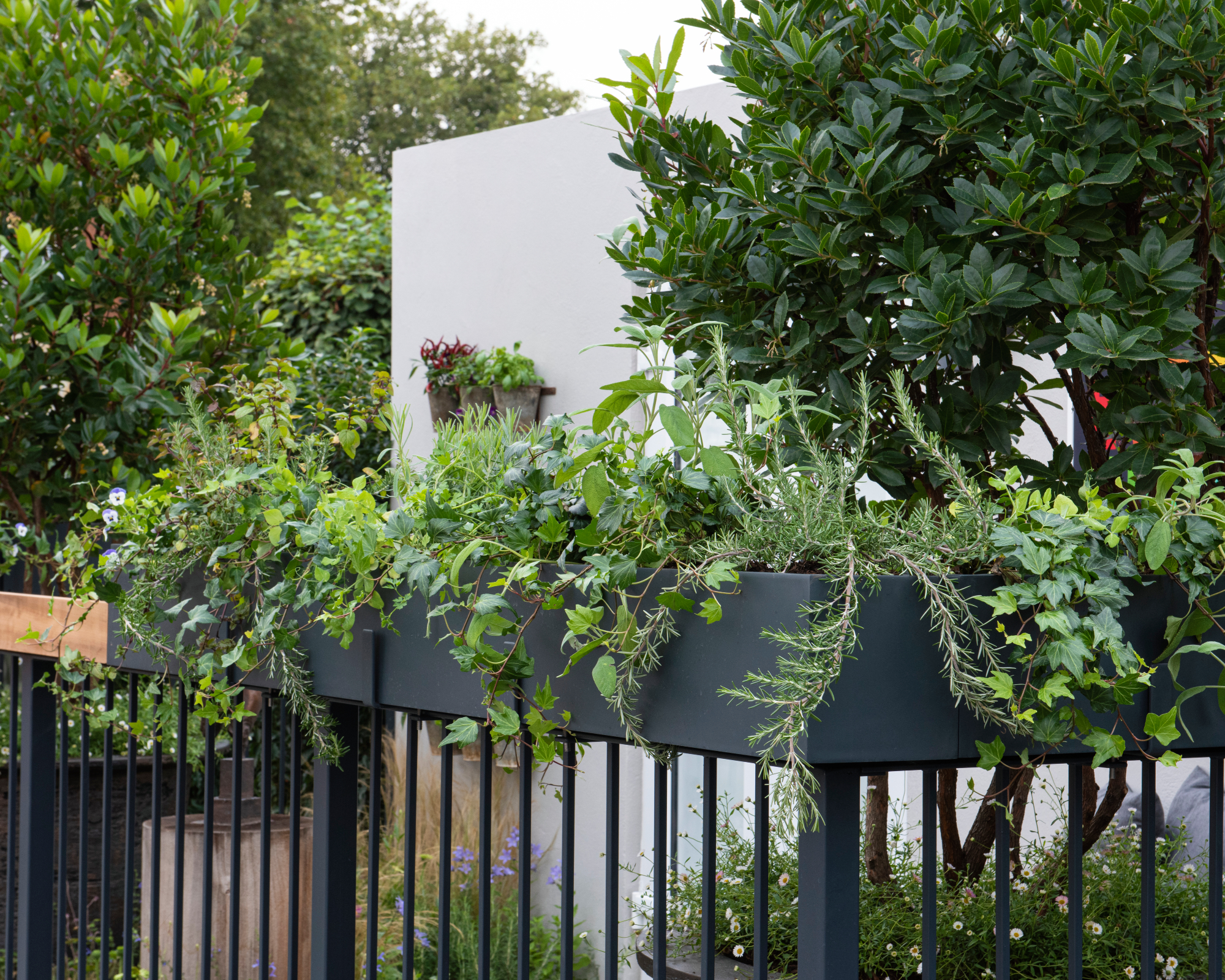 planter boxes on railing of balcony