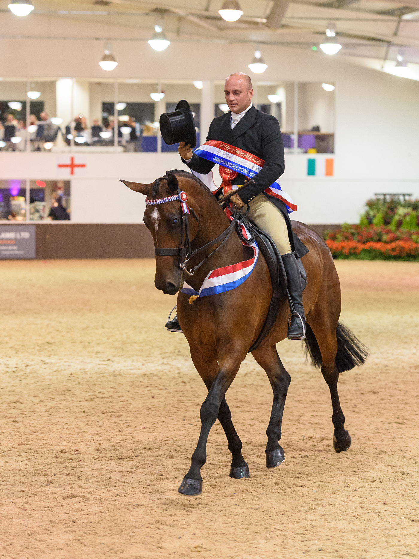 409 Jordan Cook and ROYAL ILLUSION - BHSA National Championship Show 2019