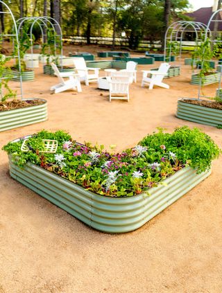 An L shaped raised garden bed