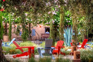 The Beldi Country Club garden in Marrakesh, photographed by Alessio Mei