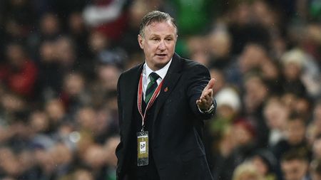 Michael O’Neill Scotland manager Northern Ireland