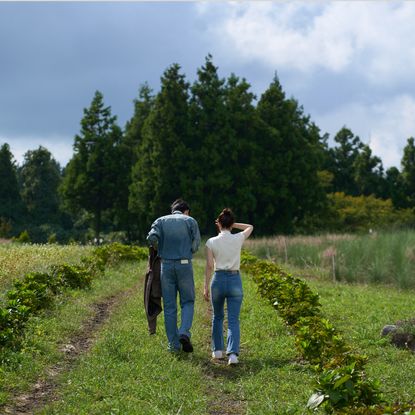 A man and a woman walk away from the camera down a grassy lawn, in 'Better Late than Single.'