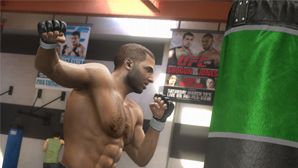 ufc undisputed 3 for pc