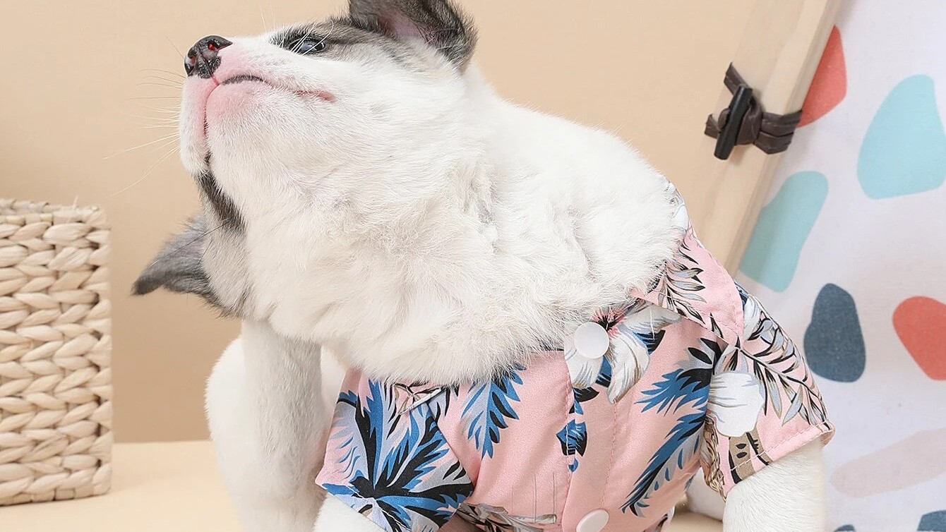shein hawaiian shirts for pets