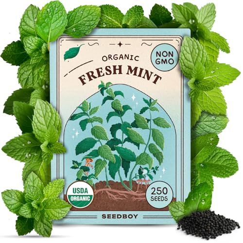 Seedboy Organic Peppermint Seeds for Planting Indoor and Outdoor, Non-Gmo and Usda Certified Herb Seed Packet for Hydroponic Garden Indoor or Planting Outdoors (peppermint)