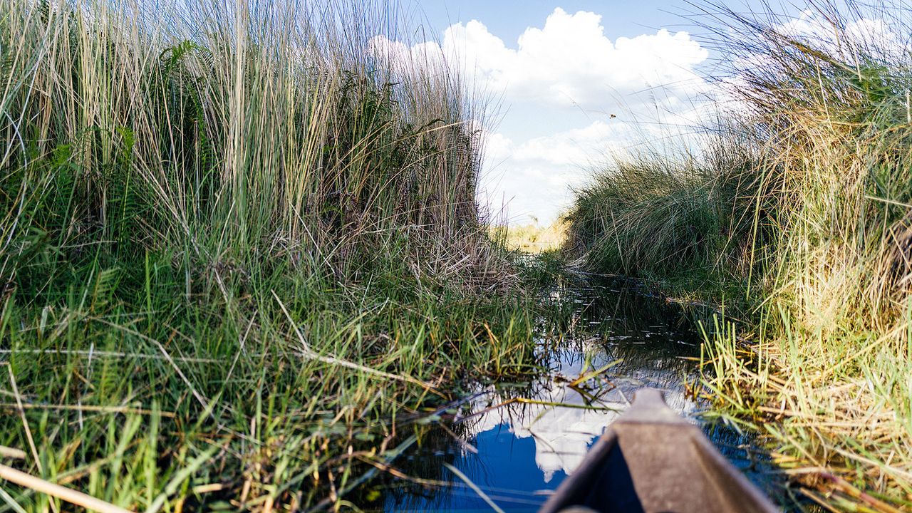 Okavango Delta mokoro