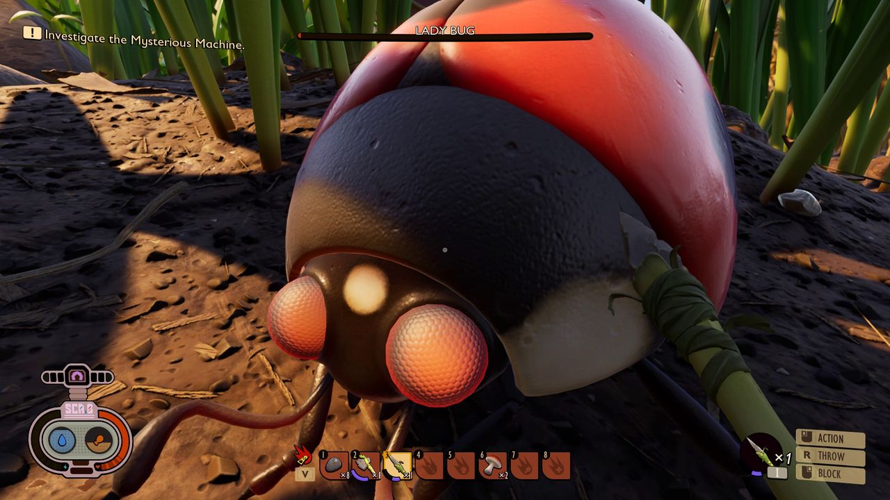Grounded Axe Lady Bug
