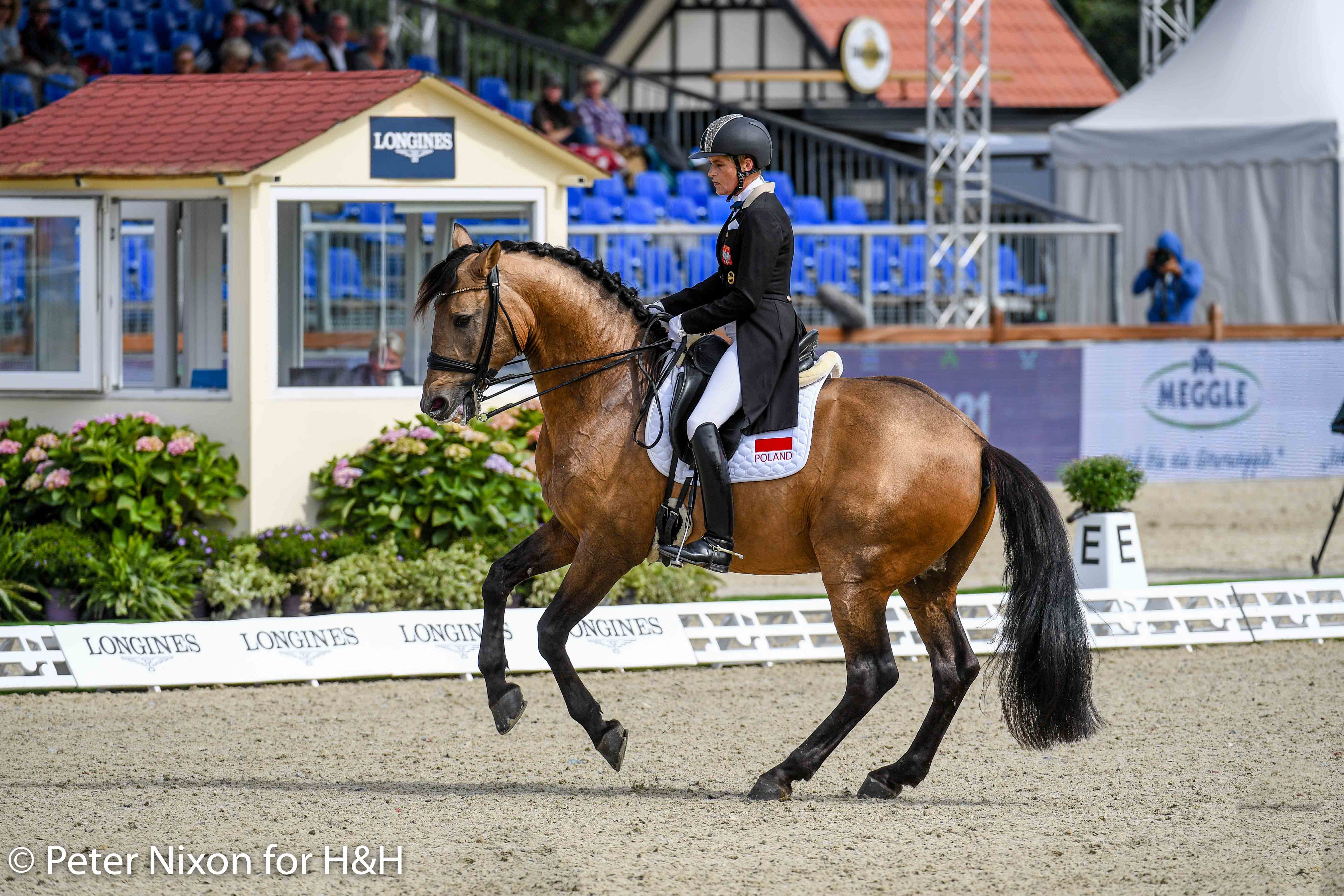 Katarzyna Millczarek riding Guano Guapo, the buckskin dressage horse, at the European Dressage Championships in Hagen, Germany