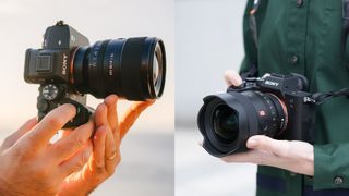 Sony A7 IV vs A7R IV