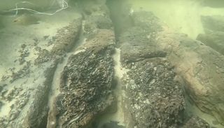 A nervous fish hovers at the wreck of a Spanish shipwreck discovered in summer 2016.