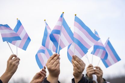 People holding transgender flags