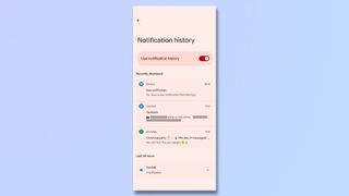 screenshot showing how to enable and access your notification history on Android - Check notification history 