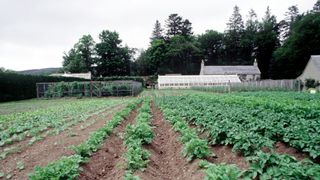 Balmoral Estate Greenhouse And Vegetable Garden