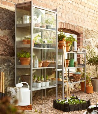 A storage area in a garden featuring an open shelving unit and a glass fronted cabinet filled with plants