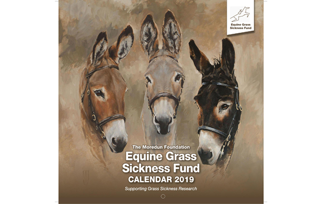 Equine grass sickness Calendar-2019-Cover