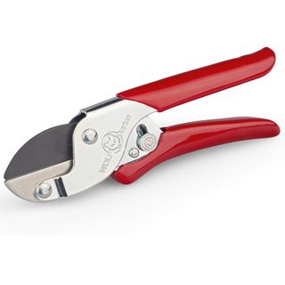 Red handled secateurs