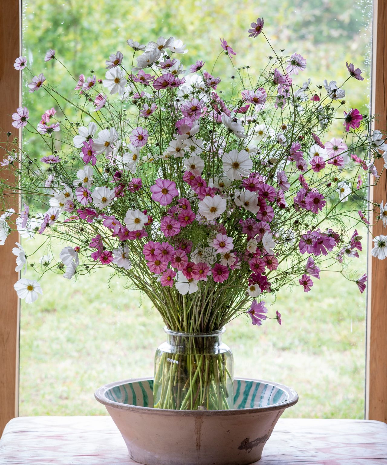 Cosmos designed by Sarah Raven