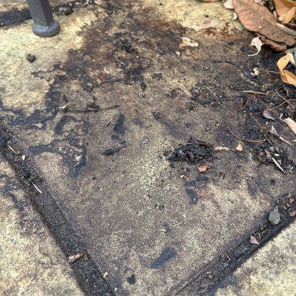 Compost stains and leaf debris on a garden patio