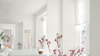 A bathroom painted in white to illustrate paint color ideas for bathrooms