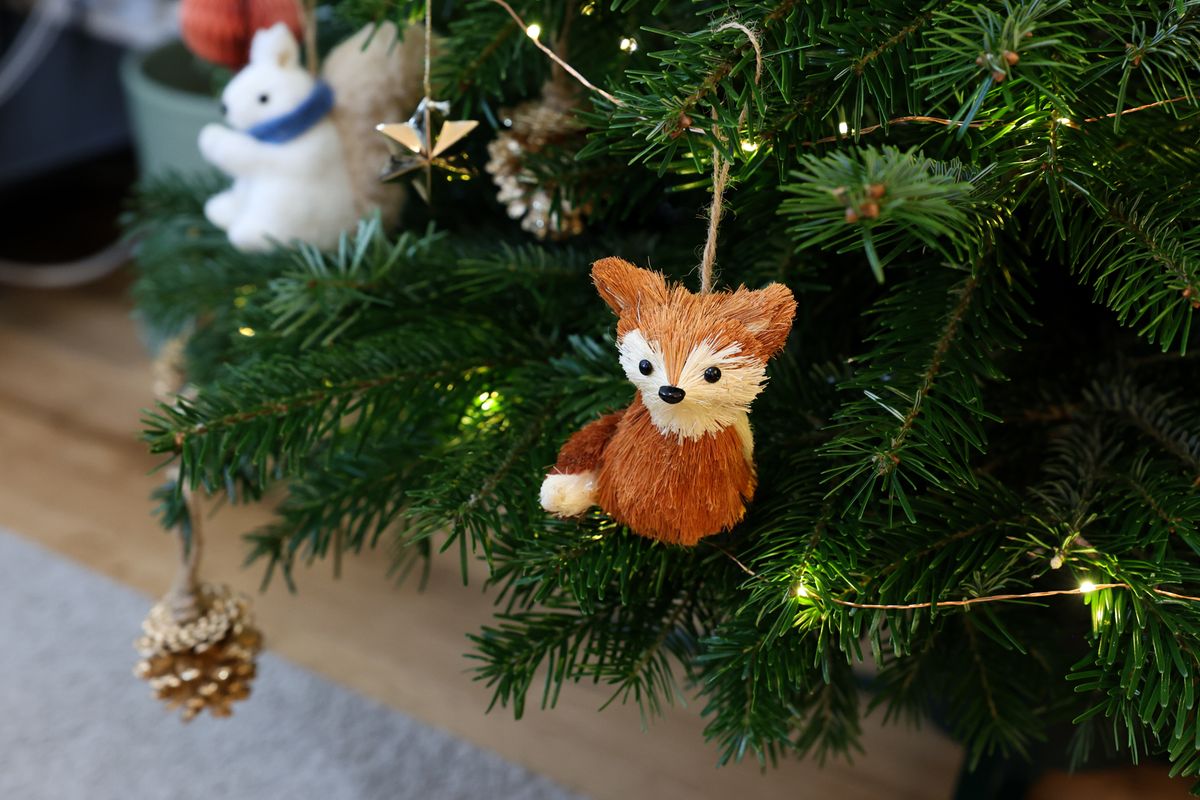 fox ornament on christmas tree shot on canon r6 mark ii