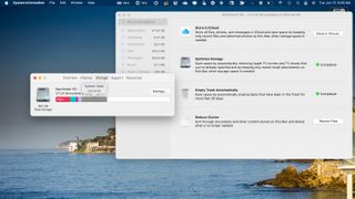 macOS optimize storage