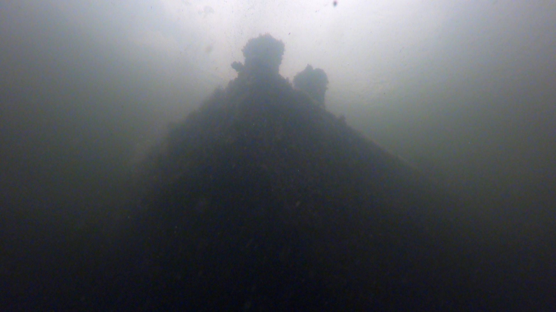 murky underwater photo showing a shadowy structure that rises almost to the surface